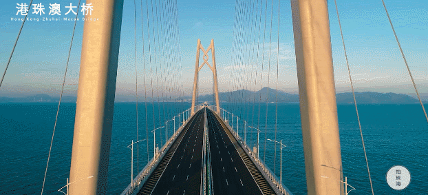 深?yuàn)W圖見證“超級(jí)工程”技術(shù)牛 緊跟中國橋梁走出去